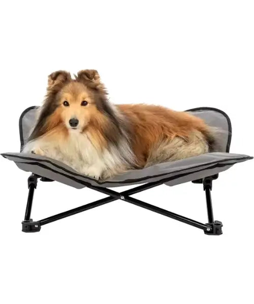 Foldable Outdoor Waterproof Elevated Dog Bed