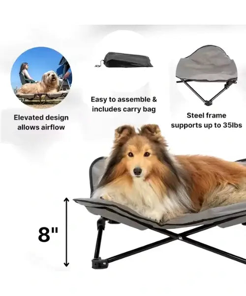 Foldable Outdoor Waterproof Elevated Dog Bed