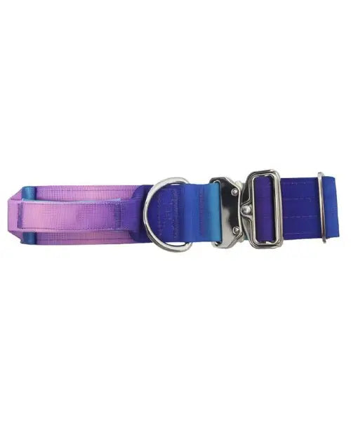 Pet Nylon Collar Diving Cotton Metal Adjustable Buckle Large Dog Tactical Collar For Dog Training