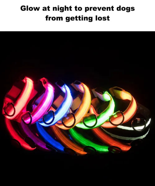 Custom Waterproof Flashing Light Up Dog collar