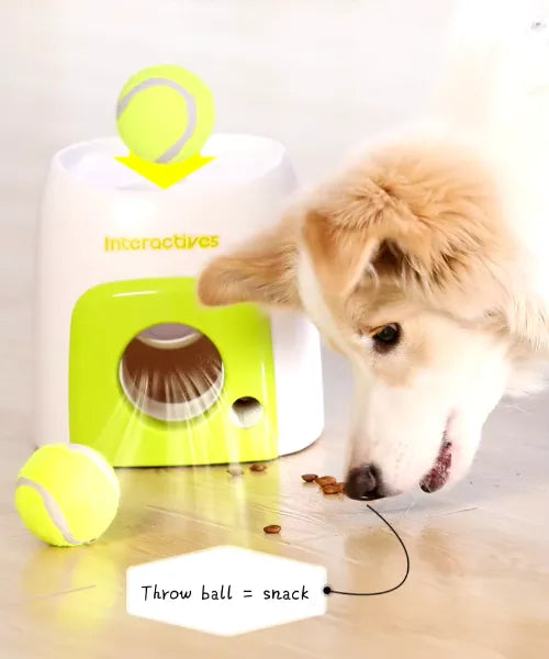 Interactive Fetch Training Toy Pet Dog Puzzle Ball Throw Dog Toy Tennis Ball Launcher Food automatic Slow Feeder Treat Dispenser Toy, No Batteries needed