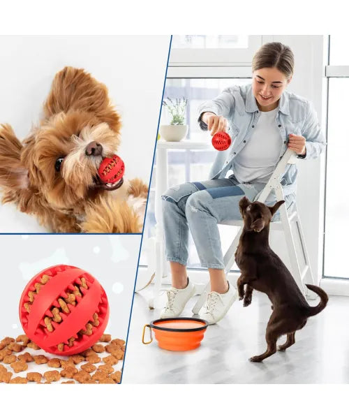 Collapsible Dog Bowls Travel Dog Water Food Bowls Portable Foldable Collapse Dishes with Carabiner Clip for Traveling Hiking Walking