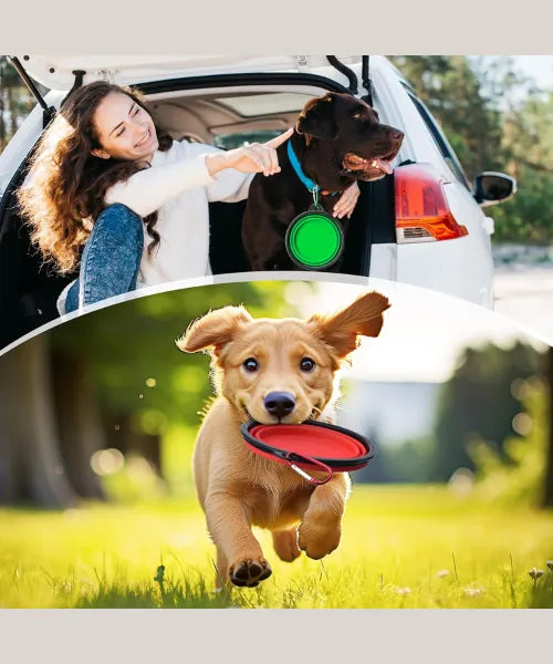 Collapsible Dog Bowls Travel Dog Water Food Bowls Portable Foldable Collapse Dishes with Carabiner Clip for Traveling Hiking Walking