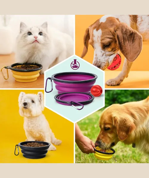 Collapsible Dog Bowls Travel Dog Water Food Bowls Portable Foldable Collapse Dishes with Carabiner Clip for Traveling Hiking Walking