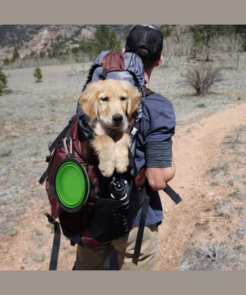 Collapsible Dog Bowls Travel Dog Water Food Bowls Portable Foldable Collapse Dishes with Carabiner Clip for Traveling Hiking Walking