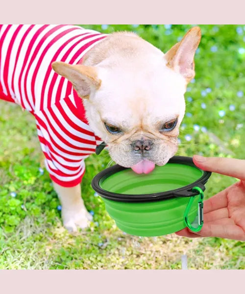 Collapsible Dog Bowls Travel Dog Water Food Bowls Portable Foldable Collapse Dishes with Carabiner Clip for Traveling Hiking Walking