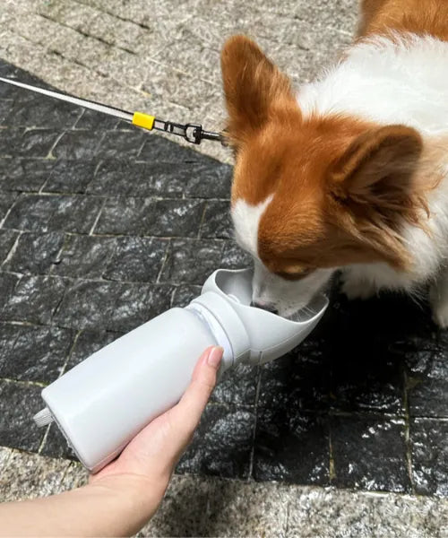 Outdoor Leakproof Puppy Feeding Drinking Cup Bowl Travel Silicone Portable Pet Dog Water Bottle Bowl for dogs